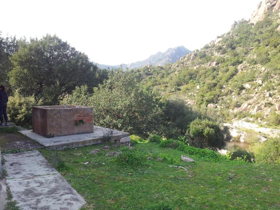 Casa Viola, San Vito a 25 minuti da Costa Rey e Villasimius Esterno foto